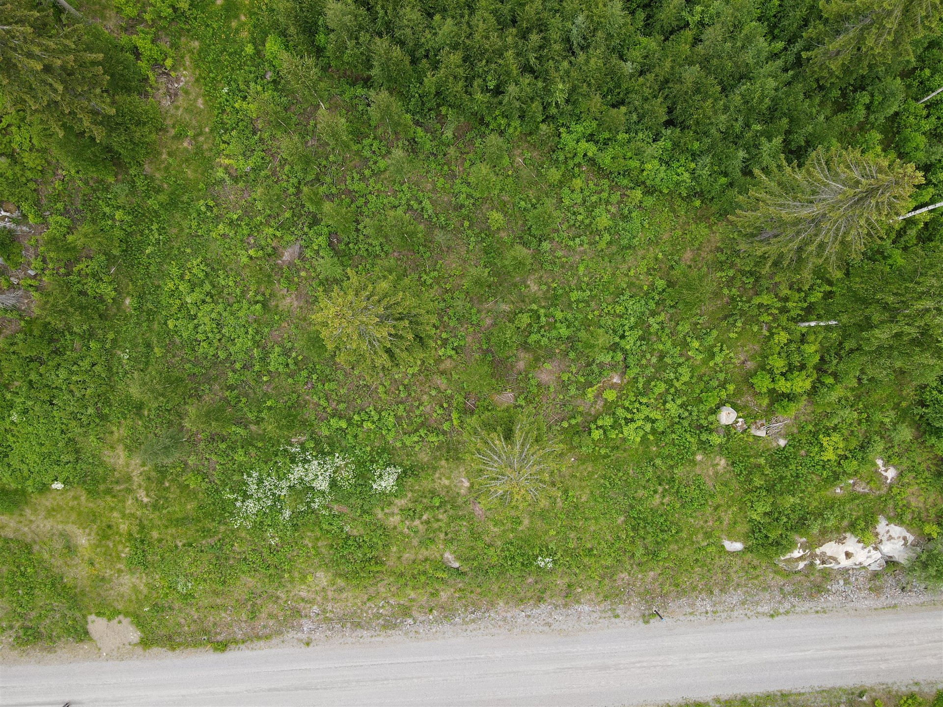 Laguuninranta 15 ilmasta