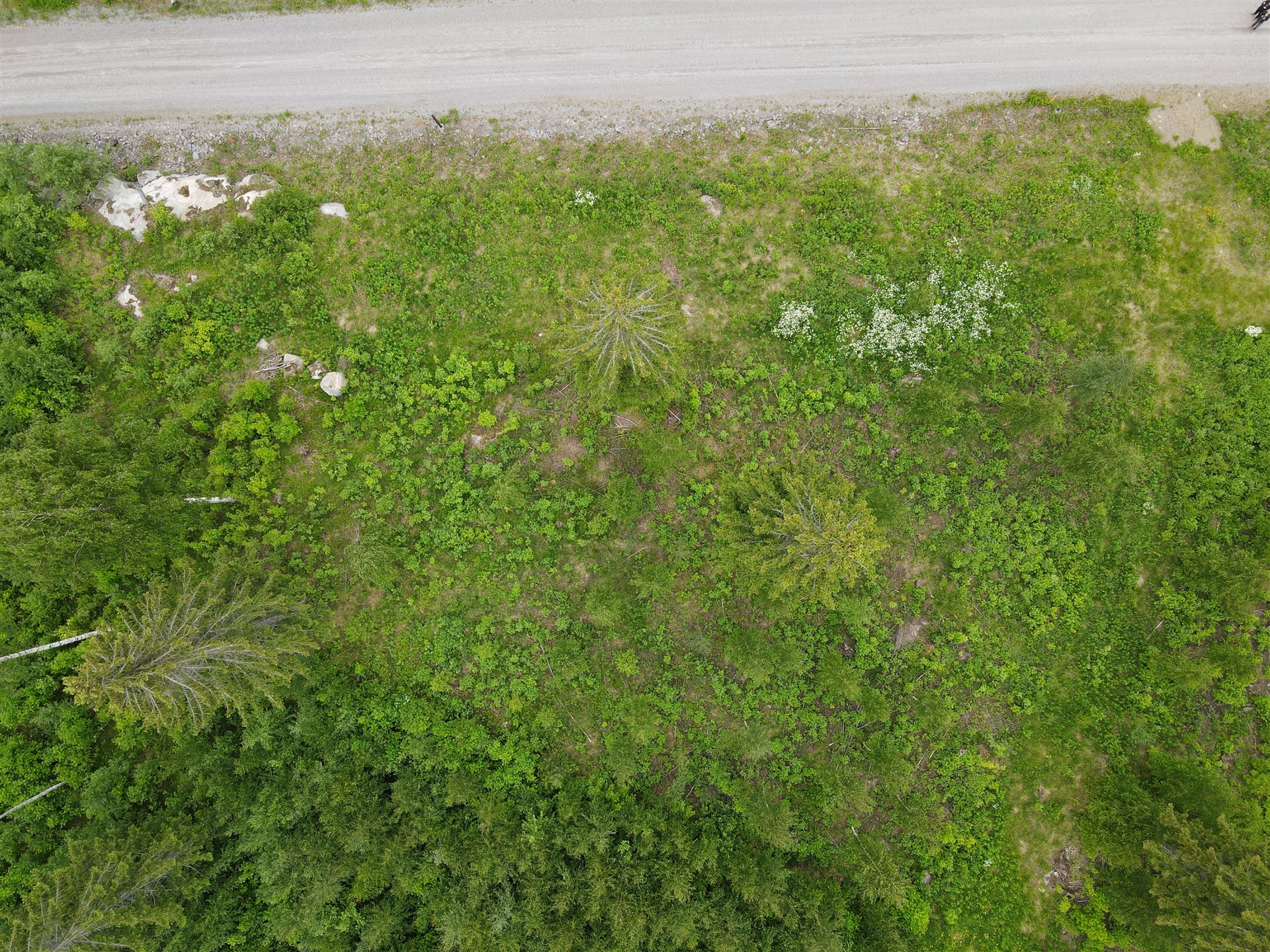 Laguuninranta 15 ilmasta