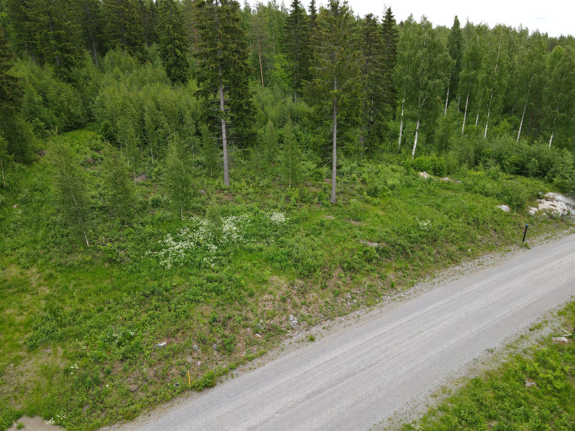 Laguuninranta 15 ilmasta